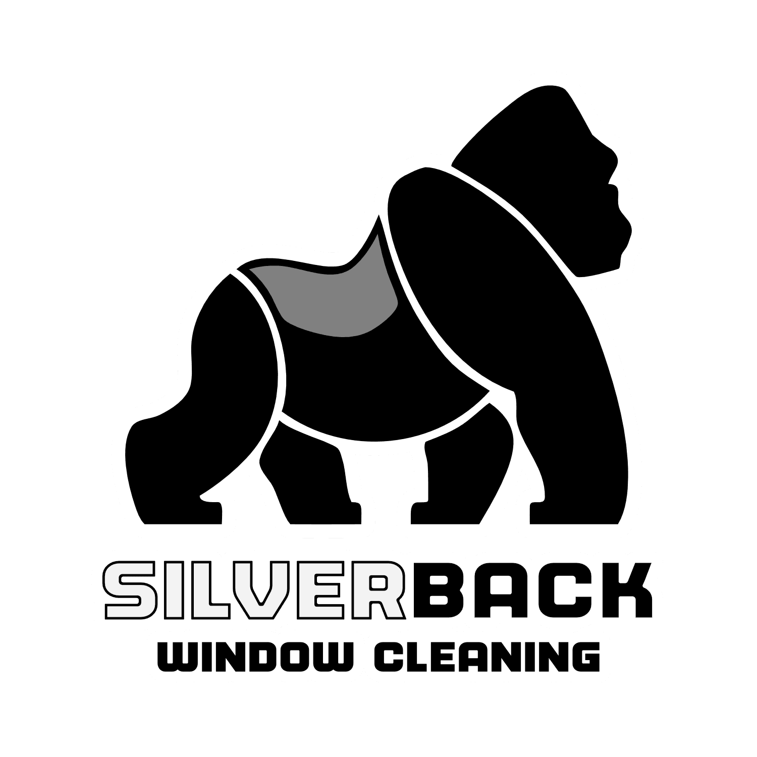 Silverback Window Cleaning